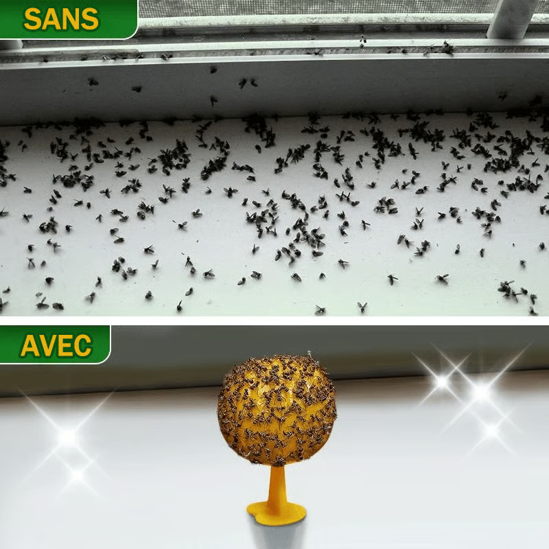 🦟Boules collantes attrape-mouches